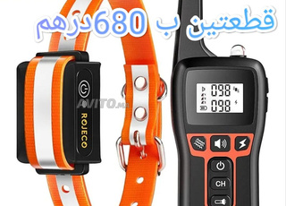 Deux colliers dressage chien électrique