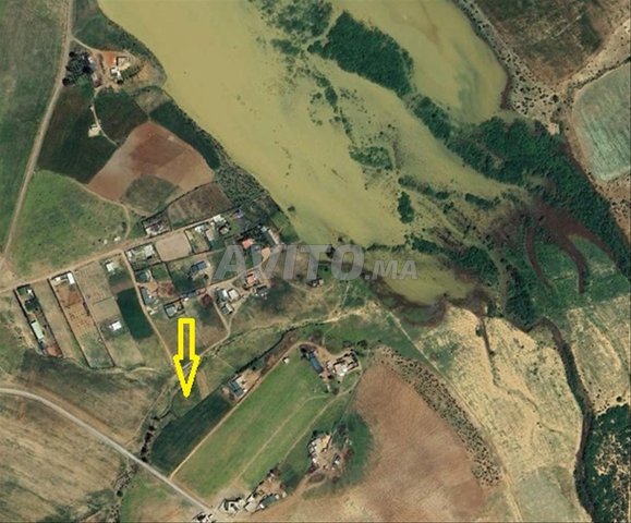 Terrain agricole à vendre 1700 m² Ain Ribaa S.Y.Z