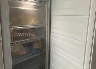 مجمد ويرلبول