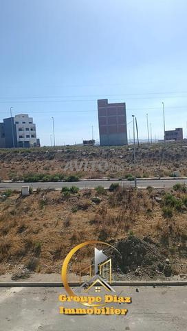 Opportunité d'investissement en or à Tanger Balia - avec permis immédiat - 2