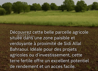🌿 À VENDRE – Terre Agricole de 1 Hectare