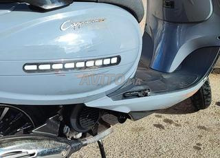 كابتشينو 2023