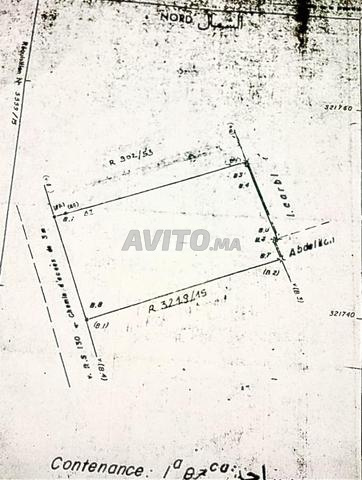 أرض مساحتها 187 متر مربع في سيدي رحال