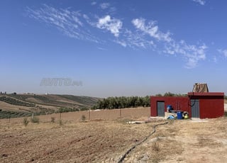Terre agricole aménagée à vendre