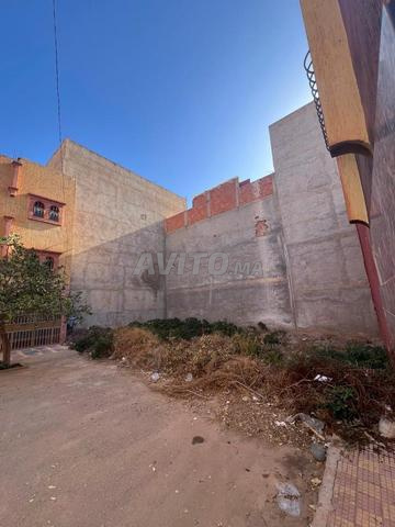 أرض محفظة كل شيء أوراقها مقادين - 2