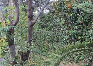 فيلا للبيع على الواجهة