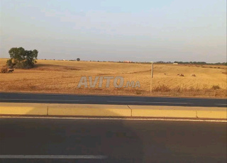 Grand terrain à vendre sur la route de Bouznika et Ben Slimane