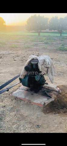 Quatre hectares titrés, maison, puits et arbres - 2