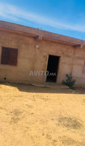 Quatre hectares titrés, maison, puits et arbres à grenades
