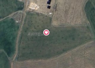 Terrain titré de 1 hect. 55 en zone urbaine