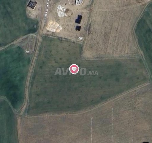 Terrain titré de 1 hect. 55 en zone urbaine