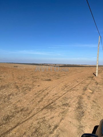 Terrain agricole titré à vendre