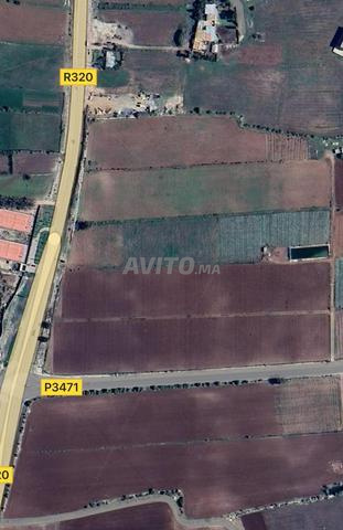 15 hectares titré loti R2 super emplacement - 2
