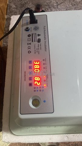 couveuse automatique de 36 oeufs
