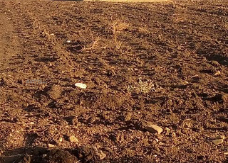 Benslimane Rlad Taleb