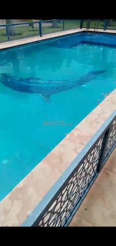 فيلا للبيع سيدي عبد اله غيات