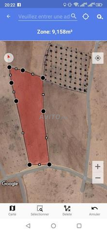 Terrain avec titre foncier ( رسم عدلي ) à vendre