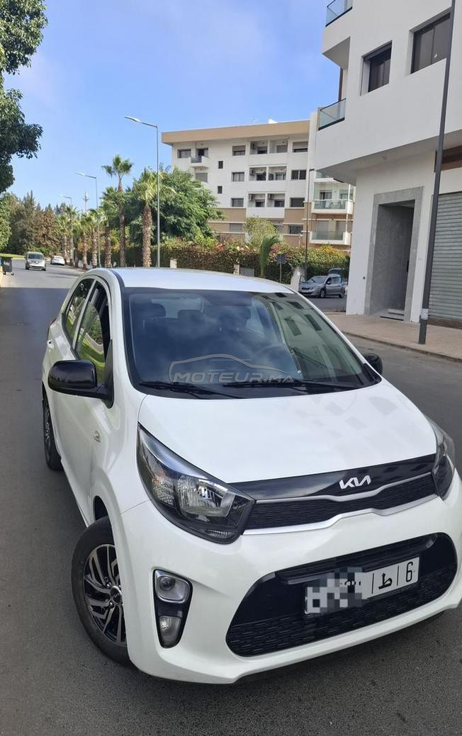 kia picanto 