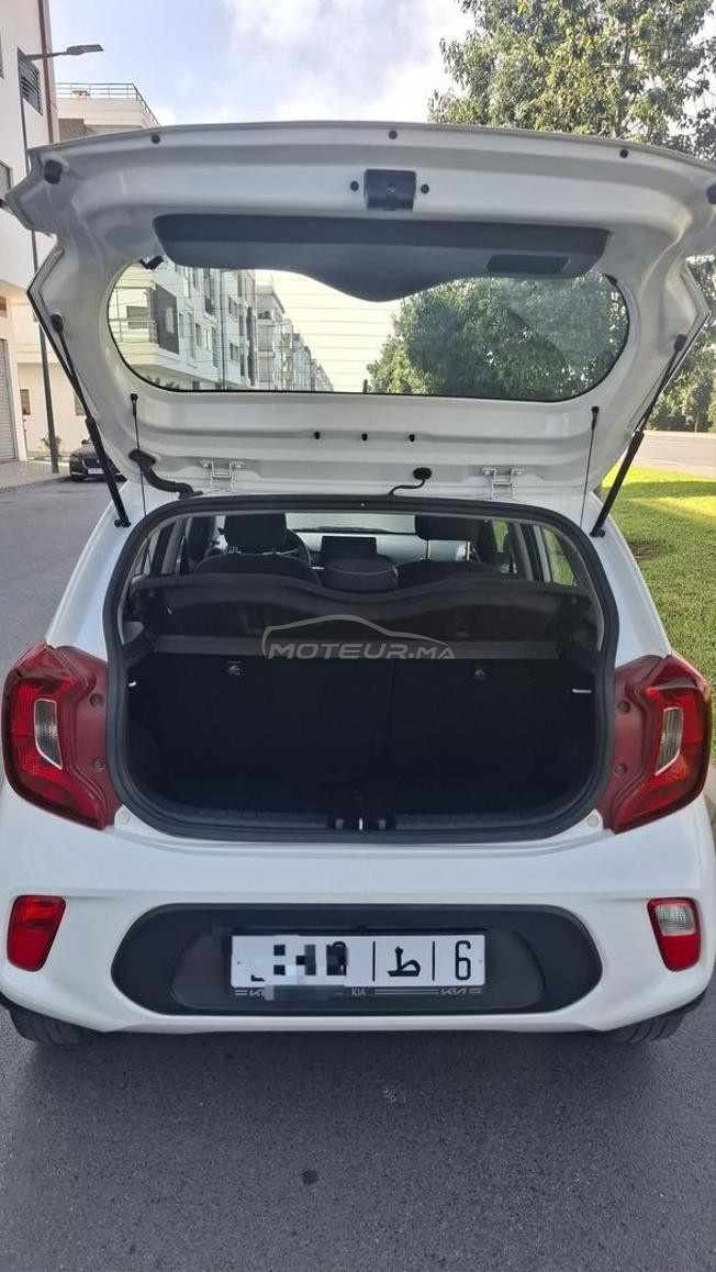 kia picanto 