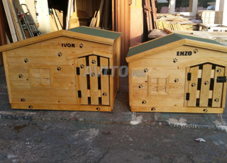 مكان مخصص للكلاب