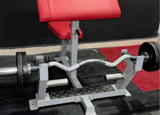 كرسي لريسكوت بيسبش