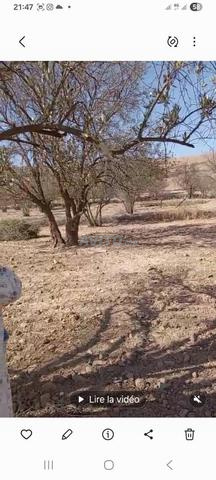 أرض بثمن مناسب في إيمنتانوت - 2