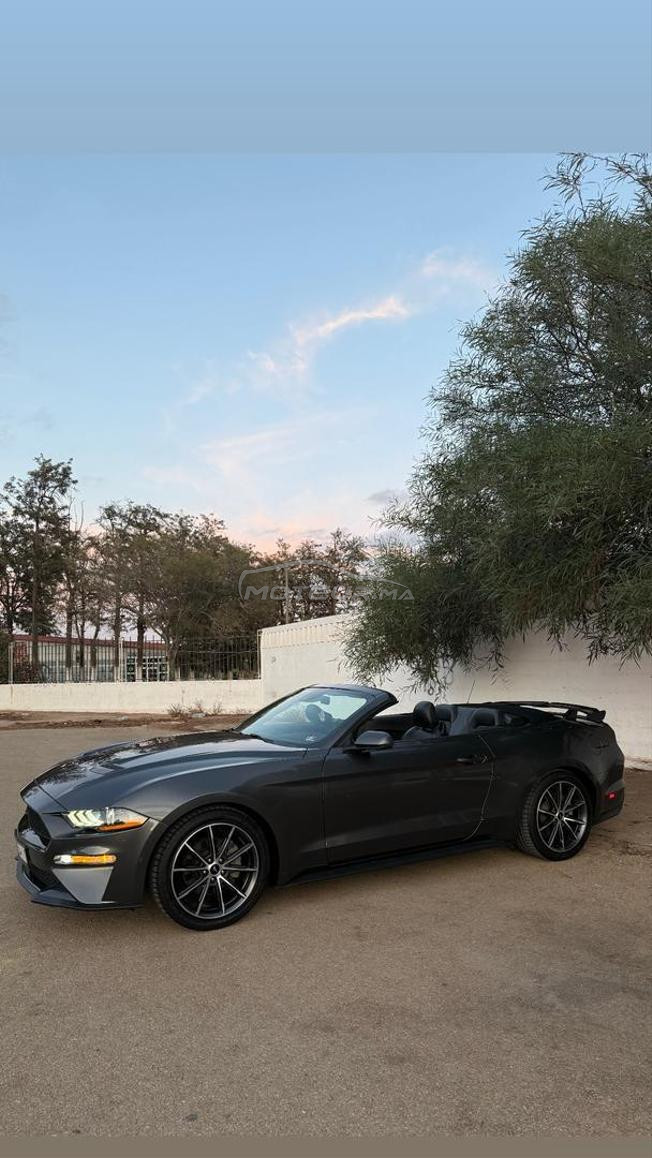MUSTANG ECO-BOOST PACK PREMIUM PLUS
