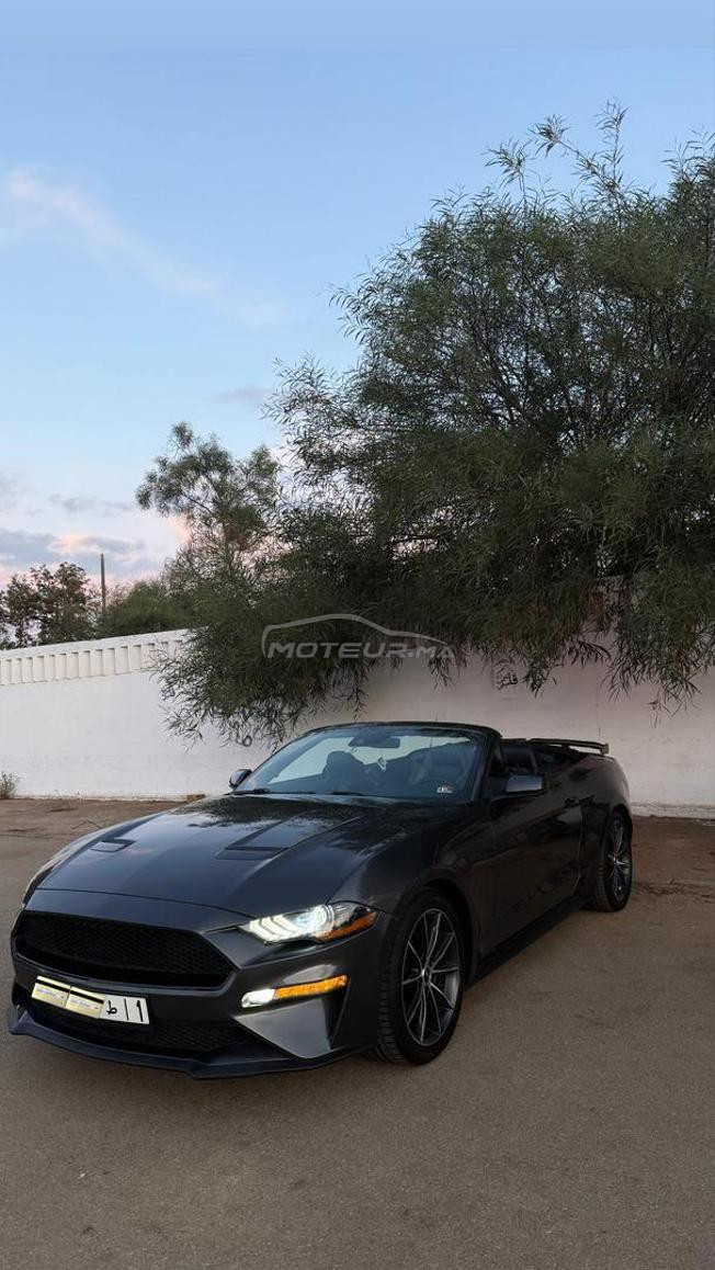 MUSTANG ECO-BOOST PACK PREMIUM PLUS