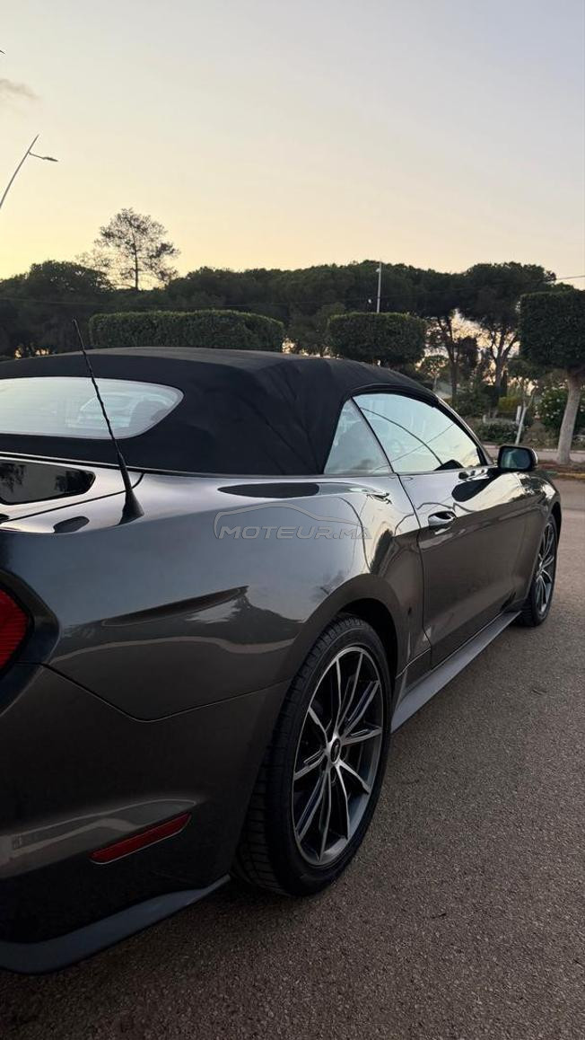 MUSTANG ECO-BOOST PACK PREMIUM PLUS