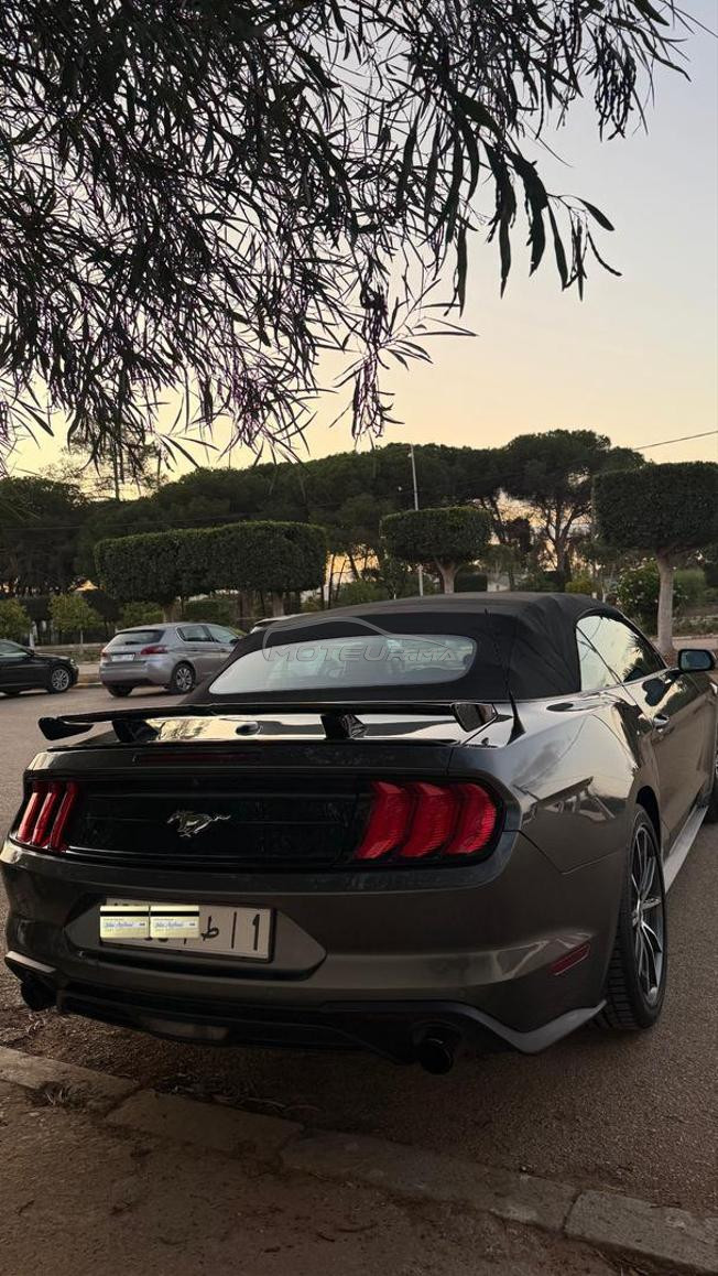 MUSTANG ECO-BOOST PACK PREMIUM PLUS