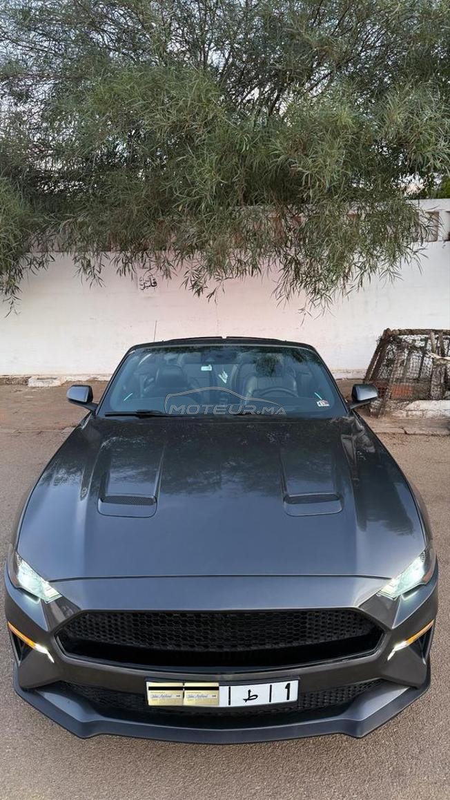 MUSTANG ECO-BOOST PACK PREMIUM PLUS