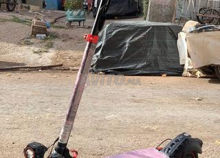 سكوتر urban Gild ecros pro