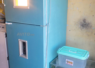 Couvaison 770 œufs automatique à partir d'une structure de réfrigérateur