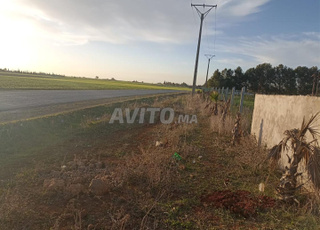 Terrain titre foncier benslimane