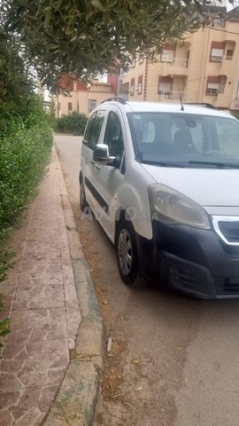 بيجو بارتنير