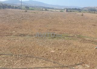 أرض وكراج وطبقة للبيع