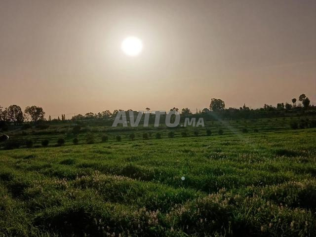 أرضية في عين تيزغة بثمن مناسب - 2