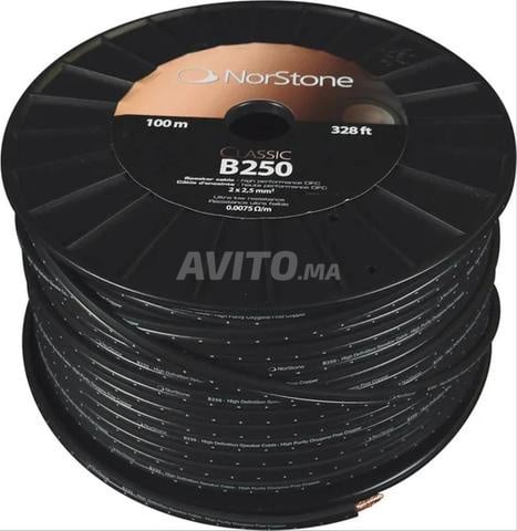 كابلات مكبرات الصوت (100 م) 2 × 2,5 مم²