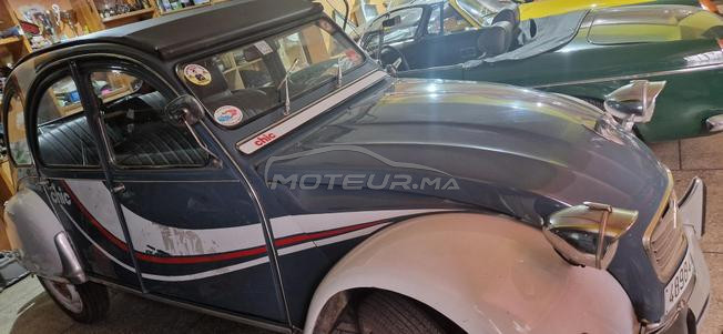 2cv collection 