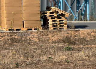 2. Palette bois exotique