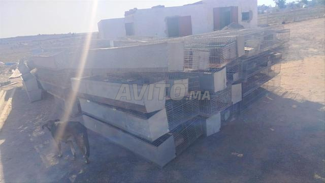 80 cages spéciales pour l'élevage de lapins Canvalizi - 2