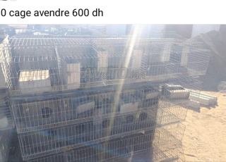 80 cages spéciales pour l'élevage de lapins Canvalizi