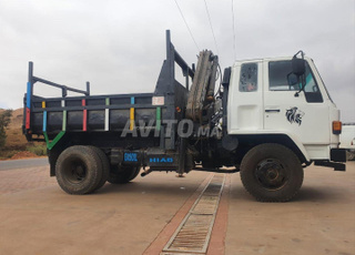 Camion grue avec benne