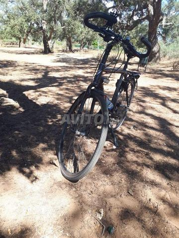 Vélo de voyage (Trekking) fourche CARBON