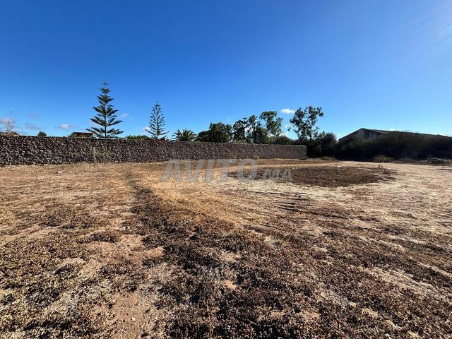 Joli terrain de 2400 m² à vendre à Sidi Rahal