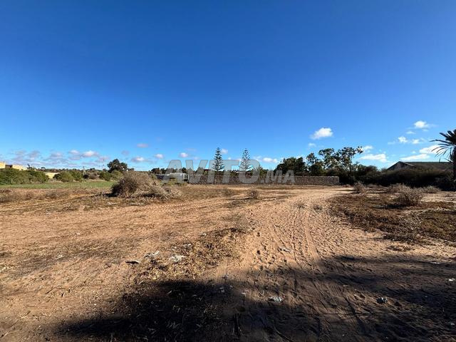 Joli terrain de 2400 m² à vendre à Sidi Rahal