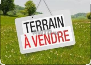 عاجل أراضي صناعية I2 1000 م².