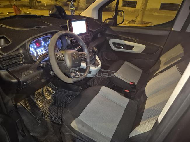berlingo avendr 