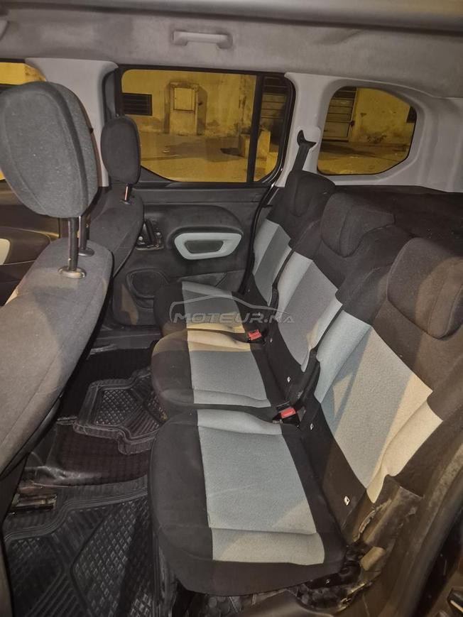 berlingo avendr 