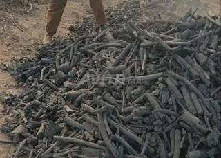 Charbon de bois de luxe, calptus, citron, herbe